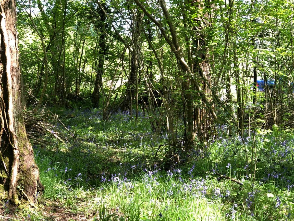 Villa Coed Y Marchog Woodland Retreat Hereford Exterior foto