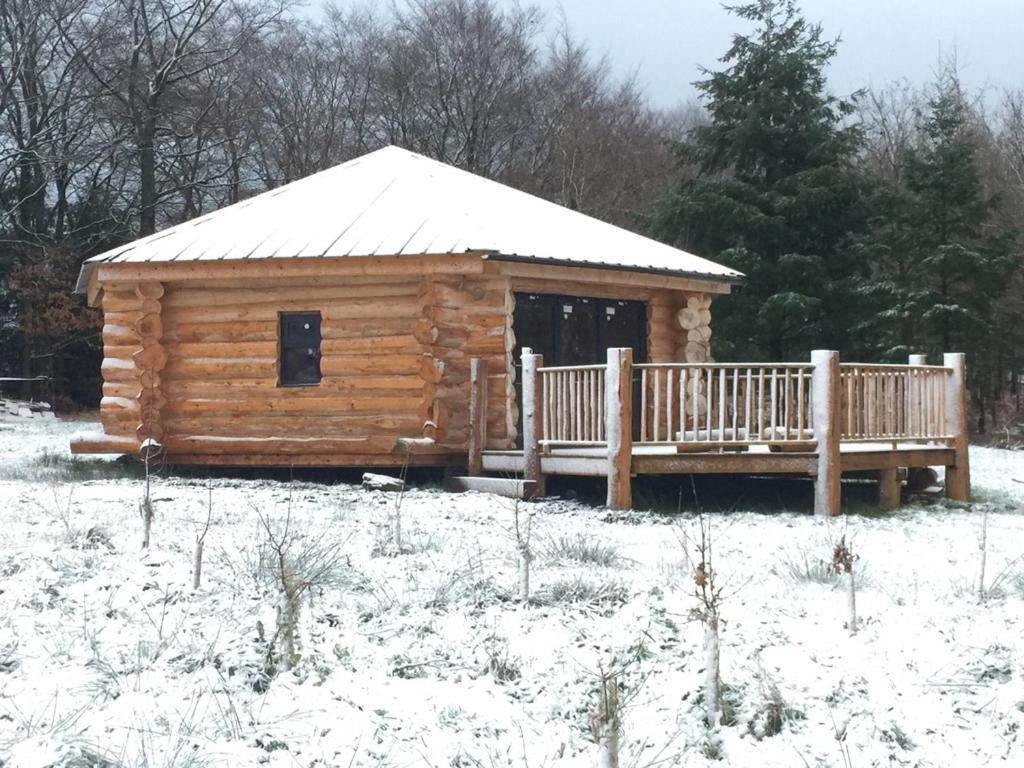 Villa Coed Y Marchog Woodland Retreat Hereford Exterior foto